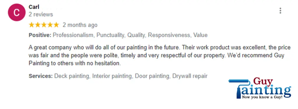 Project photo — Guy Painting Reviews