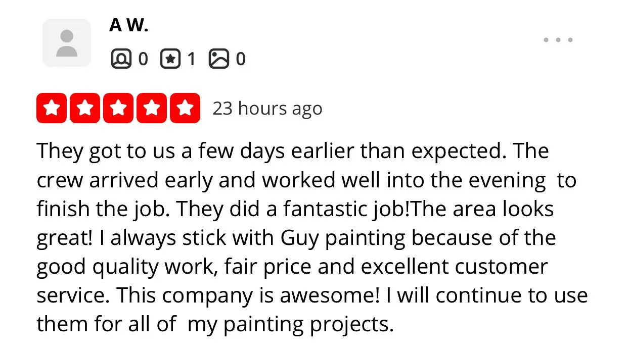 Five-star Guy Painting customer review.