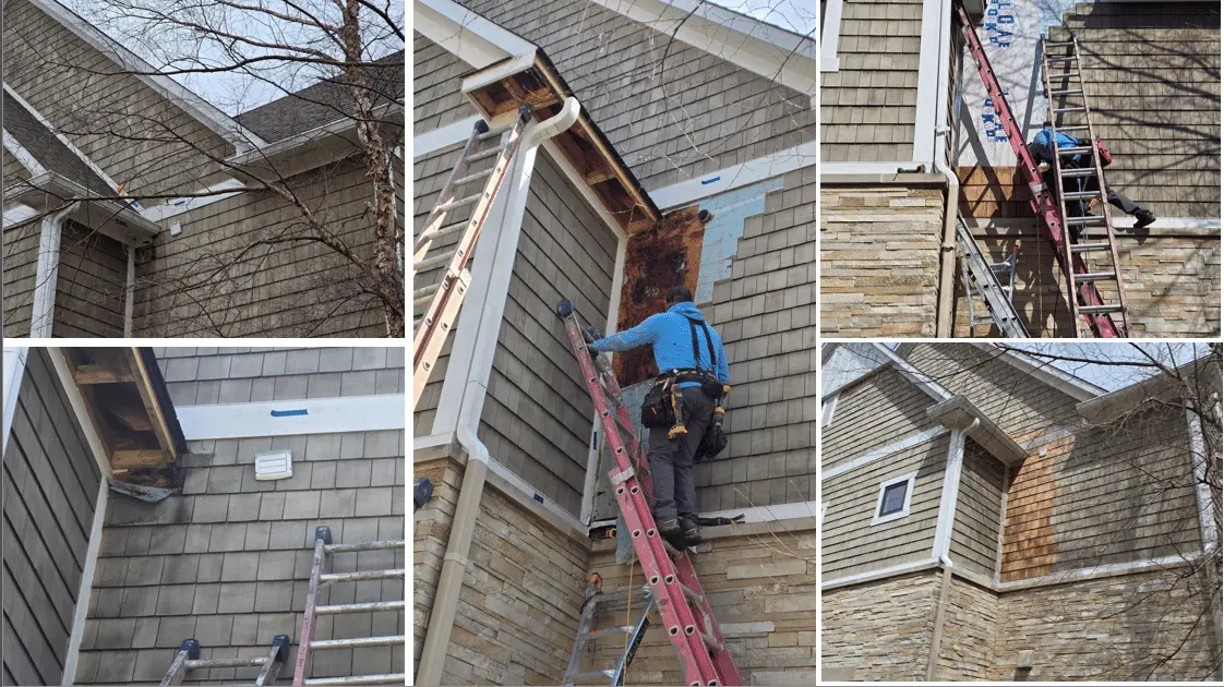 Collage of a cedar shingle siding repair, from finding the damaged shingles to new house wrap and replacement shingles