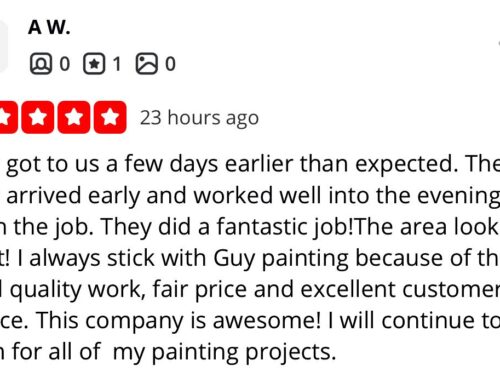 Guy Painting Reviews